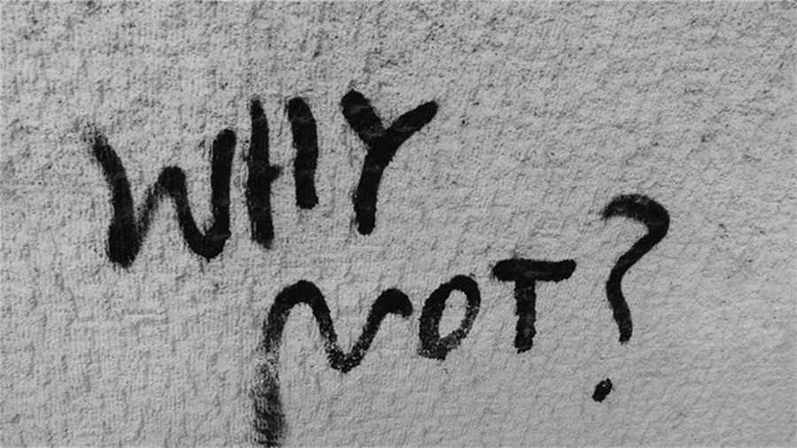 wish运营模式是什么