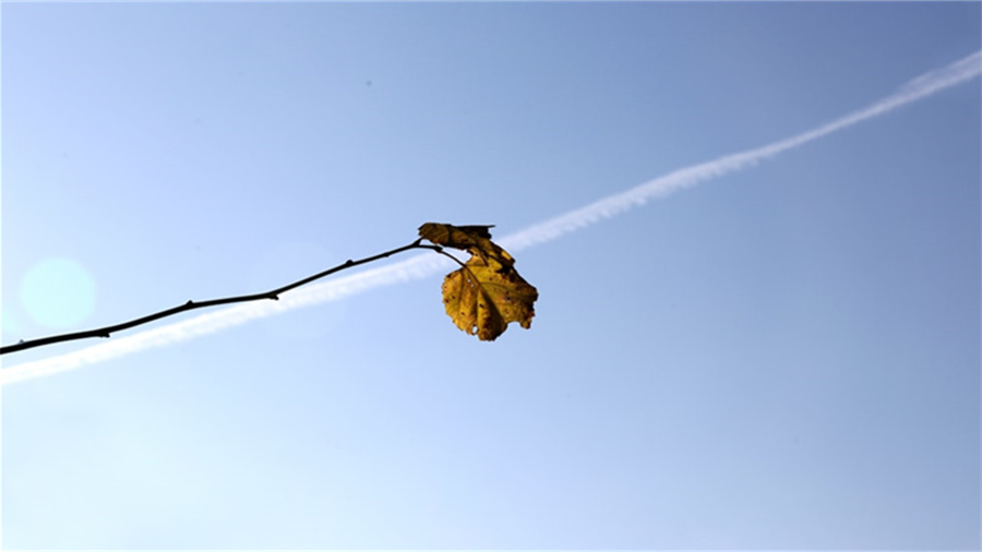 开网店怎么联系物流