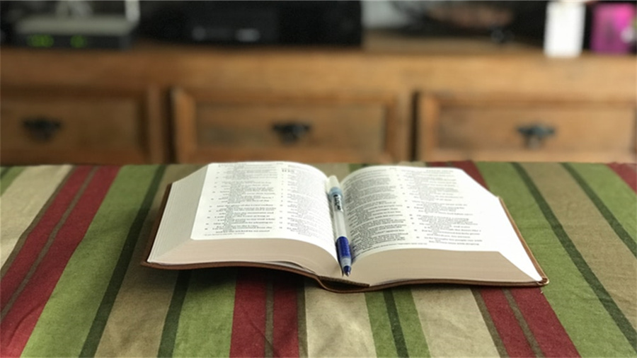 淘宝旺铺专业版费用是多少钱一个月