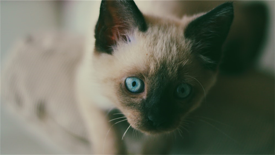 超级推荐怎么修改出价