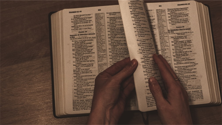 京东优惠券怎么用