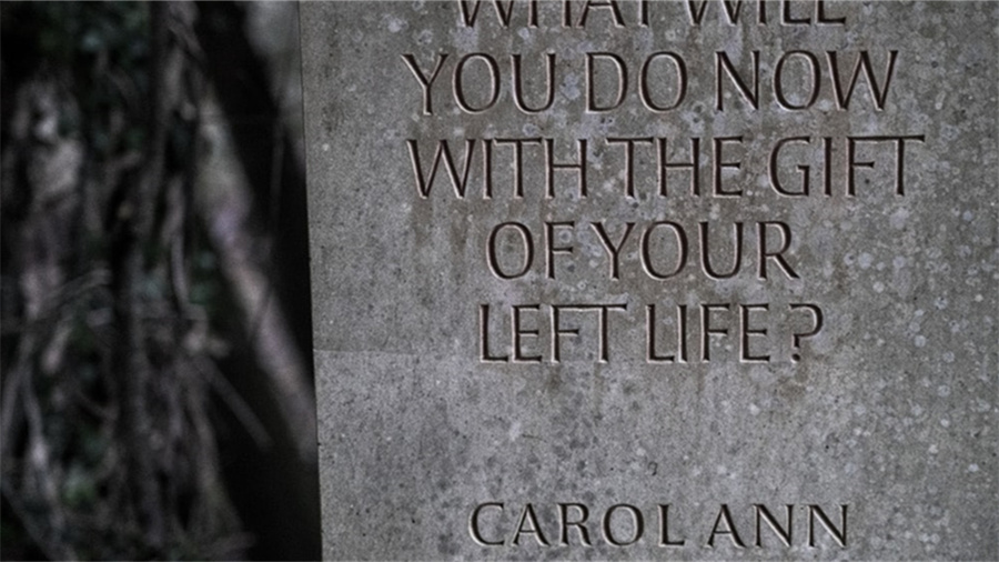 淘宝拍下多久不发货会被取消