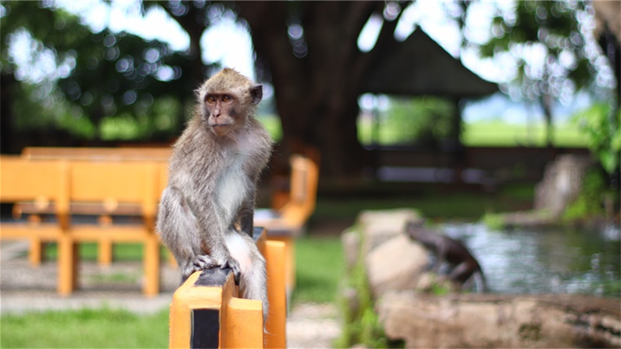 淘宝双12活动怎么划算