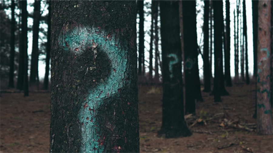 京东plus年卡值得买吗