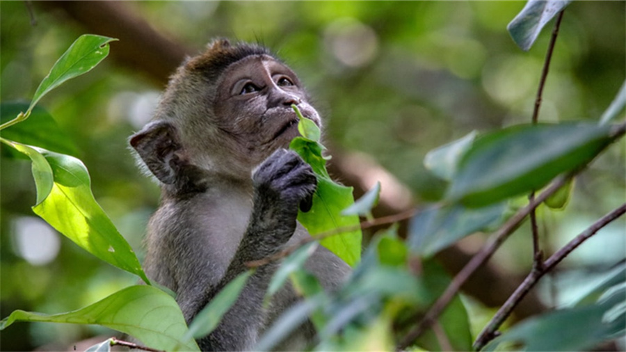 淘宝宝贝监管多久放出来