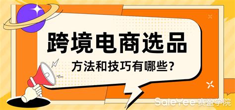 2025年跨境电商选品策略指南? 跨境电商选品的策略和方法是什么