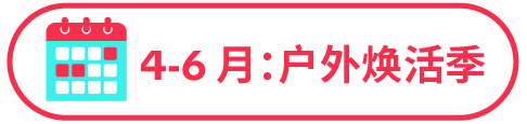 77% 用户边刷边买！TikTok 正在成为家居消费新入口